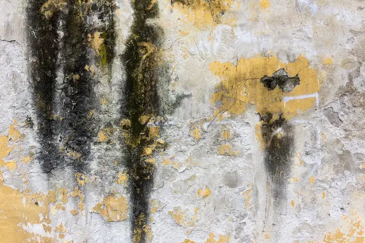 How to Clean Concrete: From Brushing to Biodegradable Cleaners