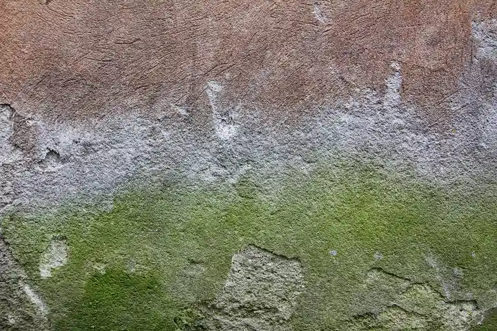 How Do You Remove Urine Stains and Odors from Concrete Floors, Patios, and Garages?