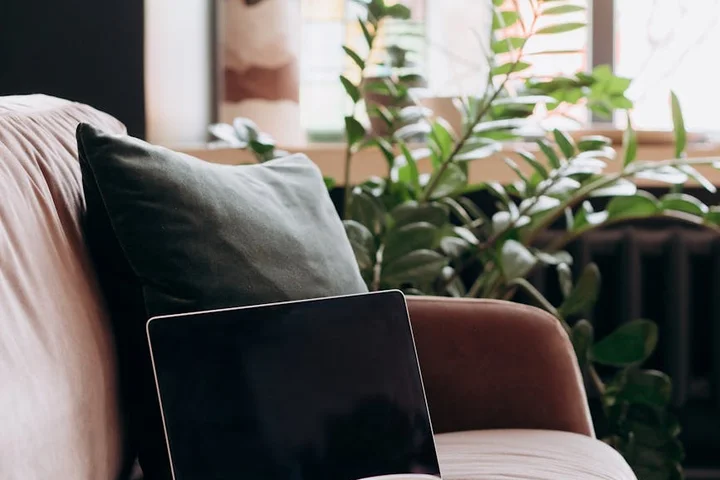 A fabric sofa with a laptop resting on its seat, in a living room with lush green plants in the background.