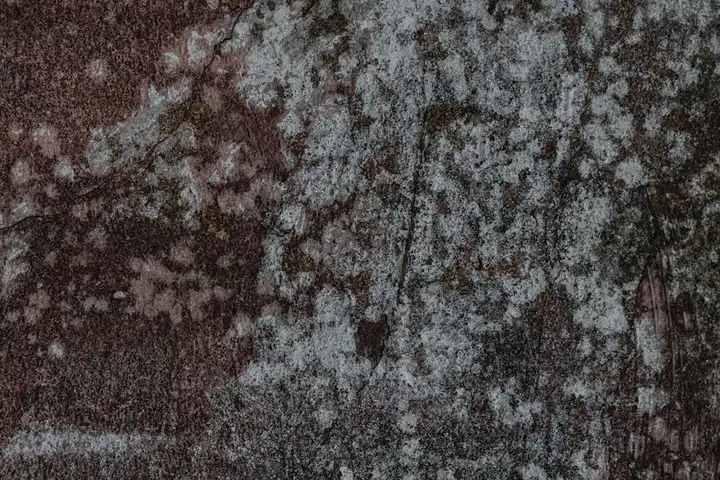 Close-up of a dark, textured hard surface with white mold-like specks and mineral deposits scattered across.
