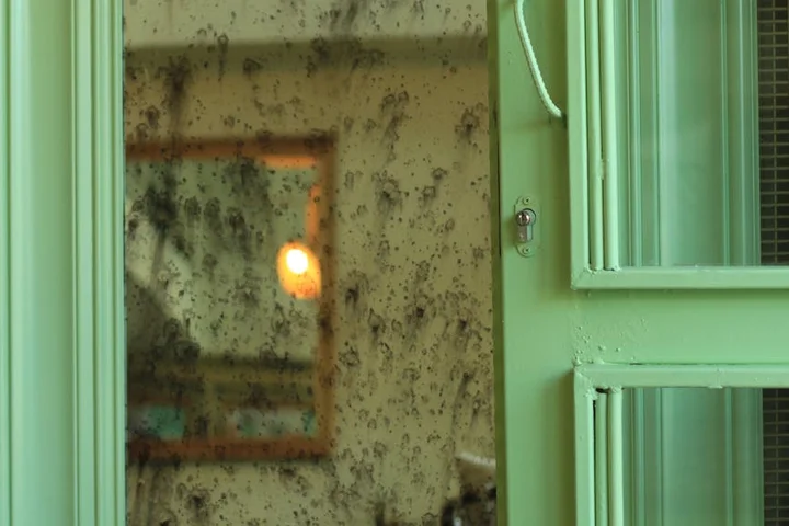 Green-framed glass window pane with widespread mineral deposits and hard water stains.