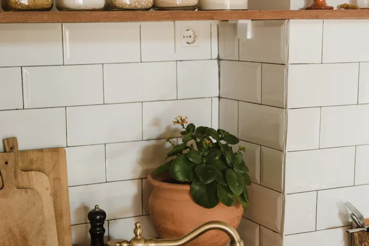 A tidy kitchen corner with a plant in a terracotta pot on the counter near a sink and white subway tile backsplash.