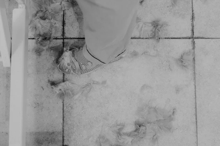 Close-up of a foot stepping on loose pet hair and lint scattered on a tiled floor.