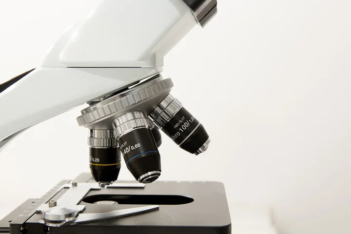 How Do Enzymatic Cleaners Remove Blood and Protein Stains?