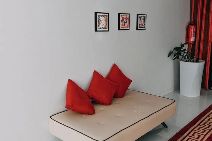 Modern living room with a light-colored sofa and red pillows against a white wall, a red-patterned rug on the floor, and a tall white planter with a plant in the corner.