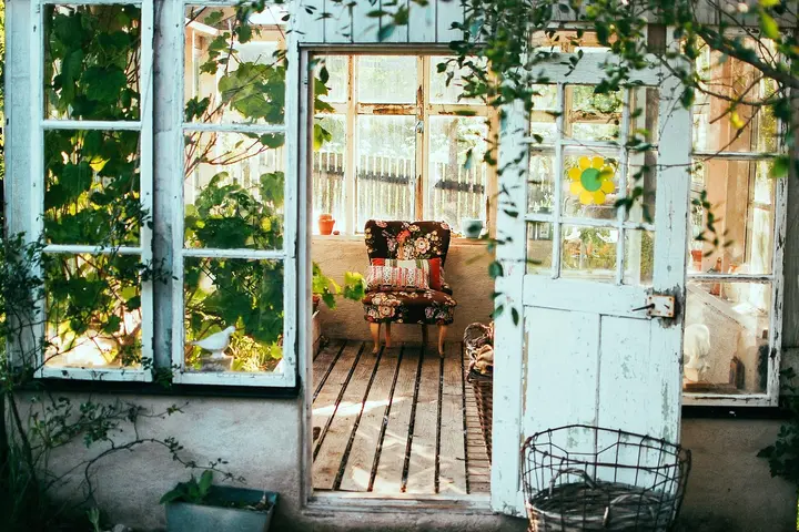 Sunlit thrifted interior seen through an open glass door, showing vintage chairs and greenery, suggesting a space where odors may linger and need sanitization.