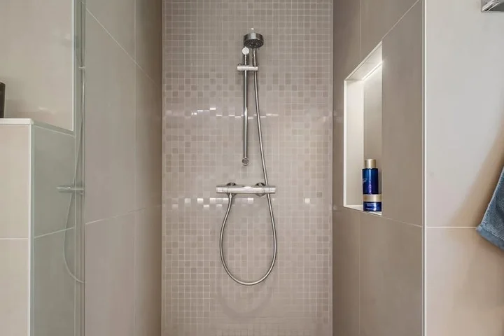 Modern shower with glass panels and a handheld showerhead; mosaic tile accent wall and built-in niche.