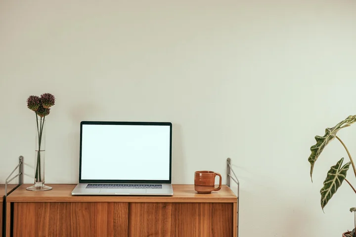 A wooden sideboard with a laptop, a mug, dried flowers in a vase on the left, and a tall leafy plant on the right in a bright, minimal room.
