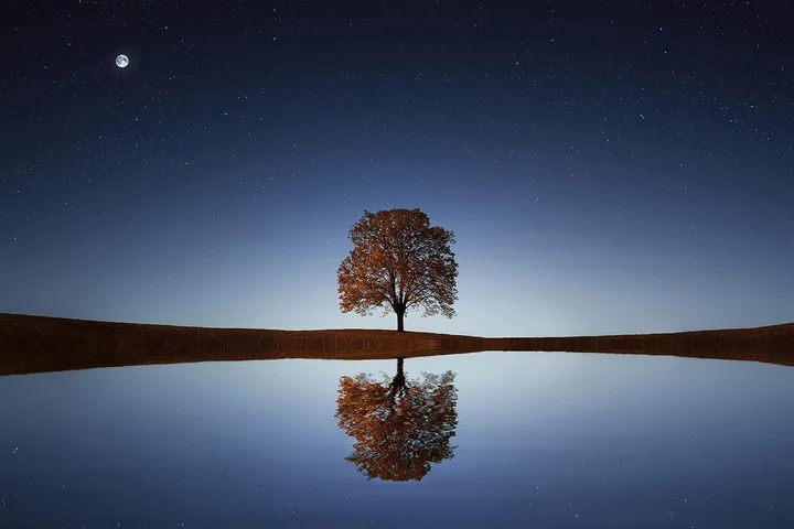 A solitary tree with its reflection in a calm body of water under a starry night sky.