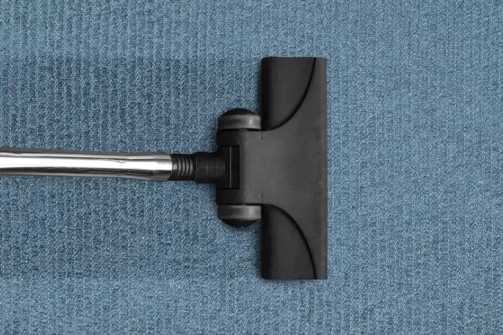Vacuum cleaner head resting on blue carpet