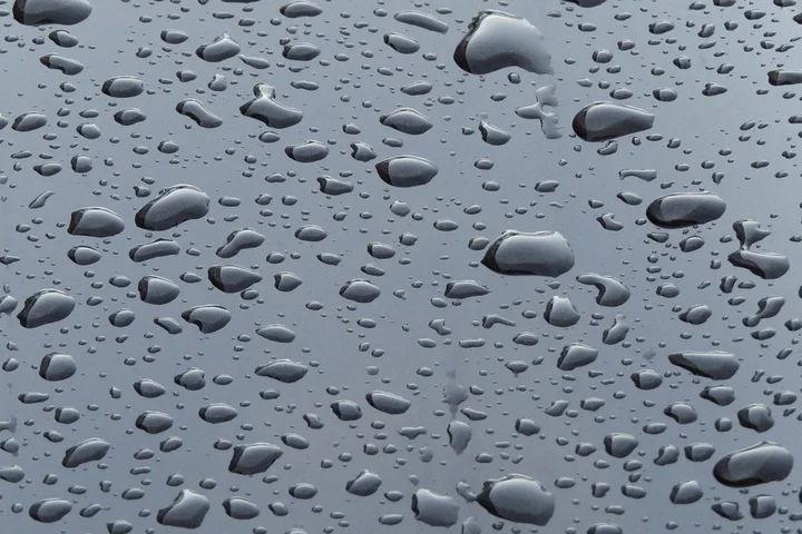 Close-up of water droplets beading on a car's painted surface with a clear coat.